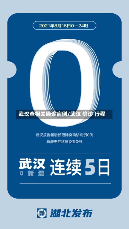 武汉查相关确诊病例/武汉 确诊 行程