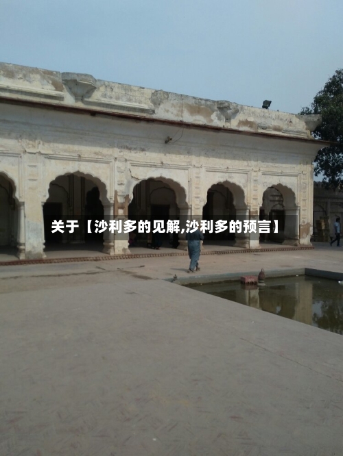 关于【沙利多的见解,沙利多的预言】