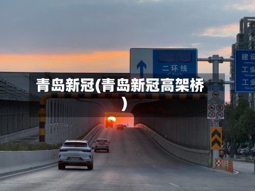 青岛新冠(青岛新冠高架桥)