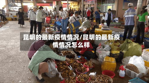 昆明的最新疫情情况/昆明的最新疫情情况怎么样-第2张图片