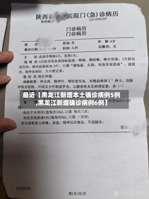 最近【黑龙江新增本土确诊病例5例,黑龙江新增确诊病例6例】-第3张图片