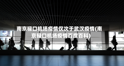 南京禄口机场疫情仅次于武汉疫情(南京禄口机场疫情百度百科)-第3张图片