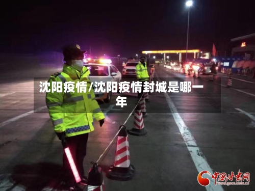 沈阳疫情/沈阳疫情封城是哪一年-第2张图片