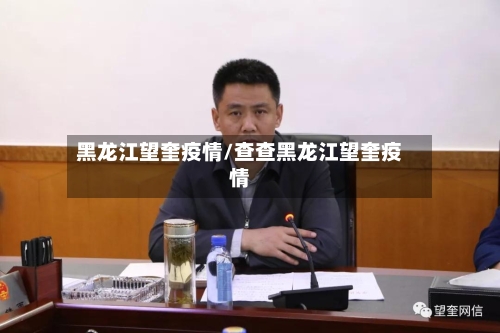 黑龙江望奎疫情/查查黑龙江望奎疫情-第2张图片