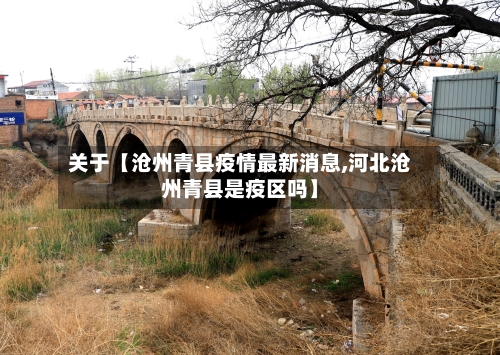 关于【沧州青县疫情最新消息,河北沧州青县是疫区吗】-第2张图片