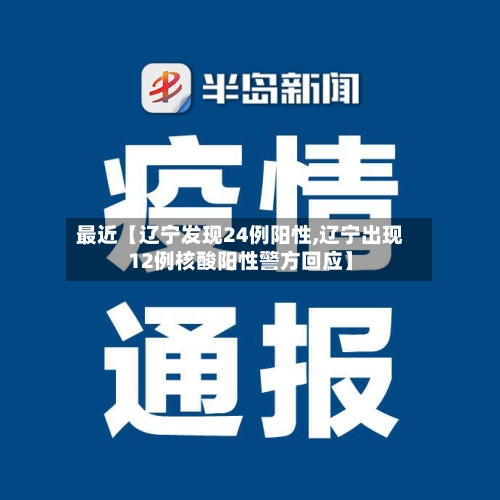 最近【辽宁发现24例阳性,辽宁出现12例核酸阳性警方回应】-第2张图片