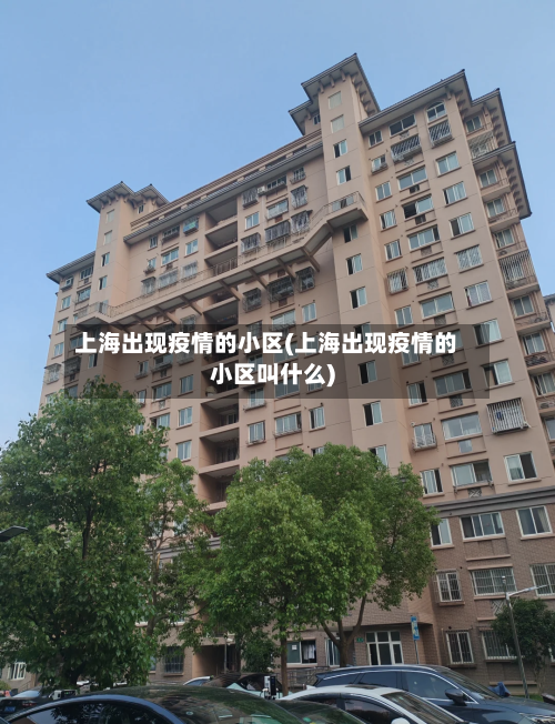 上海出现疫情的小区(上海出现疫情的小区叫什么)-第3张图片