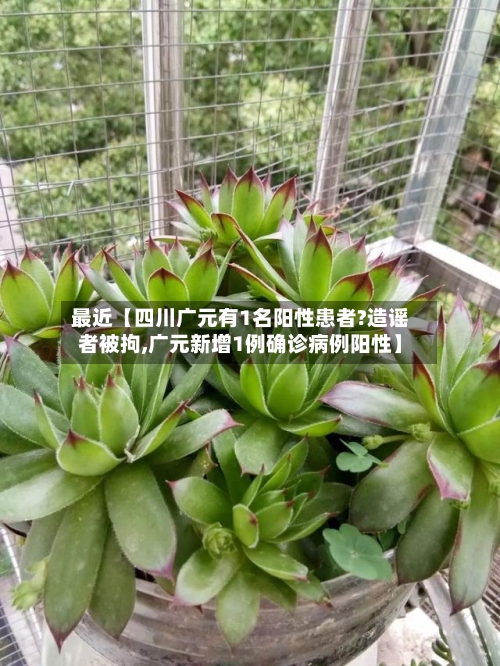 最近【四川广元有1名阳性患者?造谣者被拘,广元新增1例确诊病例阳性】-第2张图片