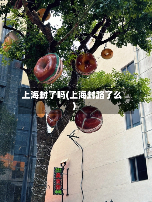 上海封了吗(上海封路了么)-第2张图片