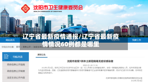 辽宁省最新疫情通报/辽宁省最新疫情情况60例都是哪里-第2张图片