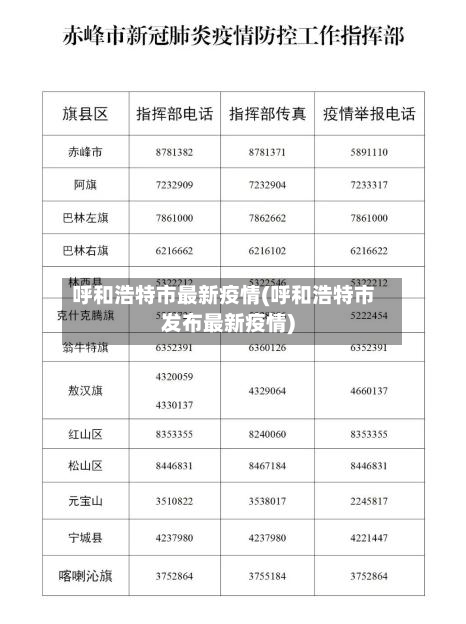 呼和浩特市最新疫情(呼和浩特市发布最新疫情)-第2张图片