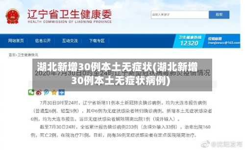 湖北新增30例本土无症状(湖北新增30例本土无症状病例)-第3张图片
