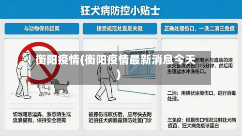 衡阳疫情(衡阳疫情最新消息今天)-第3张图片