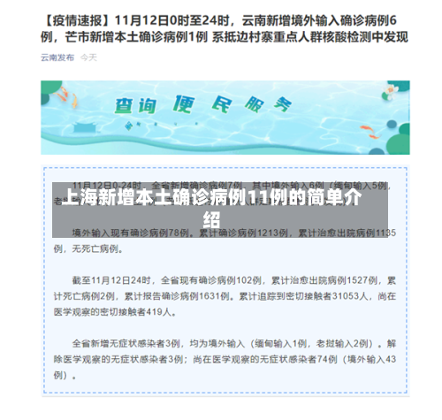 上海新增本土确诊病例11例的简单介绍