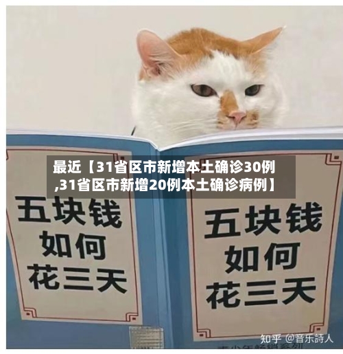 最近【31省区市新增本土确诊30例,31省区市新增20例本土确诊病例】-第3张图片