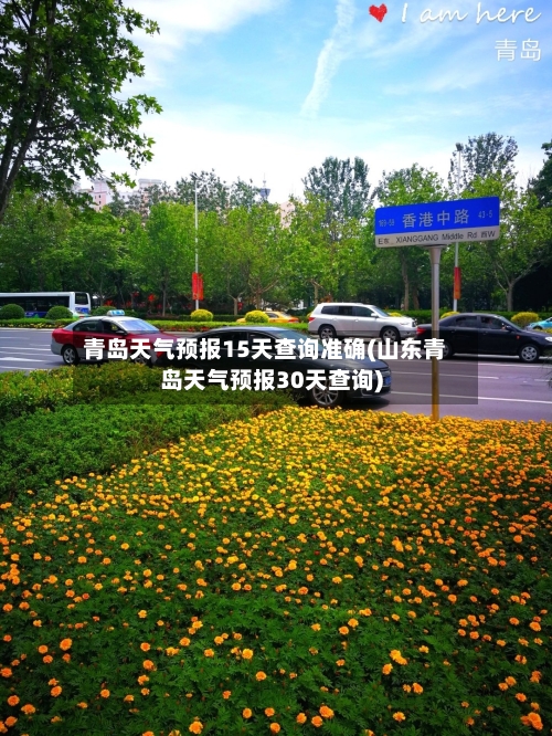 青岛天气预报15天查询准确(山东青岛天气预报30天查询)