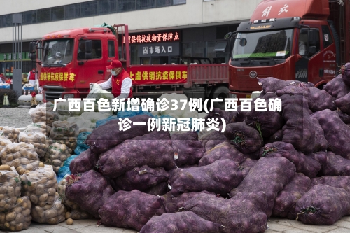 广西百色新增确诊37例(广西百色确诊一例新冠肺炎)-第3张图片
