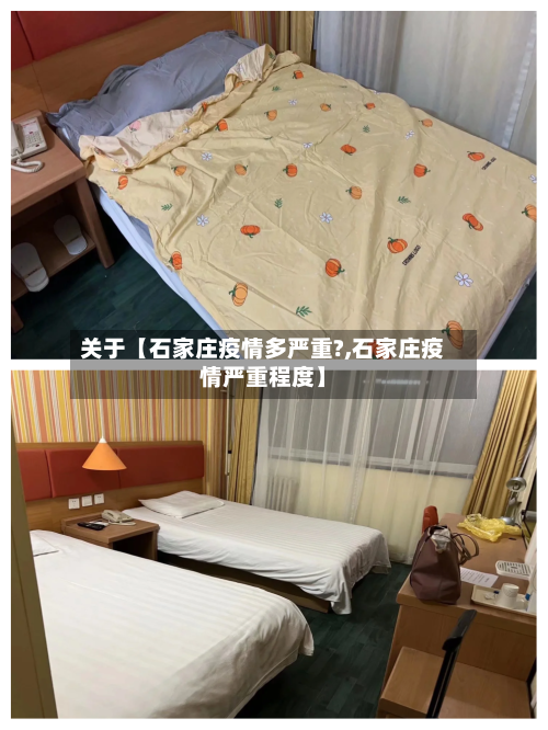 关于【石家庄疫情多严重?,石家庄疫情严重程度】-第2张图片