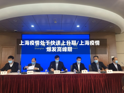 上海疫情处于快速上升期/上海疫情爆发高峰期