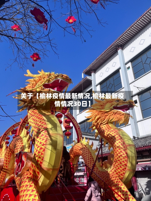 关于【榆林疫情最新情况,榆林最新疫情情况30日】-第3张图片