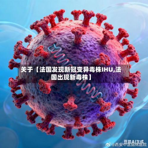 关于【法国发现新冠变异毒株IHU,法国出现新毒株】-第3张图片