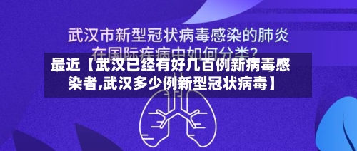 最近【武汉已经有好几百例新病毒感染者,武汉多少例新型冠状病毒】-第2张图片
