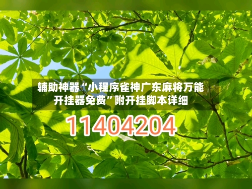 辅助神器“小程序雀神广东麻将万能开挂器免费	”附开挂脚本详细-第2张图片