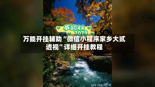 万能开挂辅助“微信小程序家乡大贰透视	”详细开挂教程-第2张图片