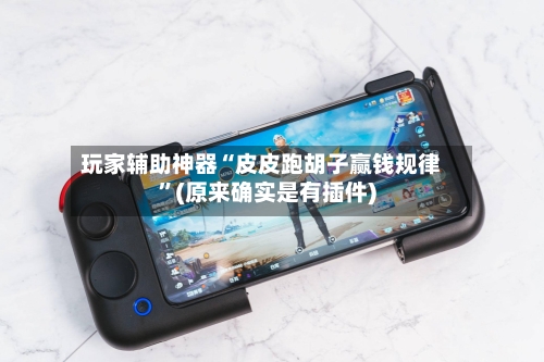 玩家辅助神器“皮皮跑胡子赢钱规律	”(原来确实是有插件)-第2张图片