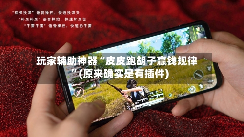 玩家辅助神器“皮皮跑胡子赢钱规律”(原来确实是有插件)