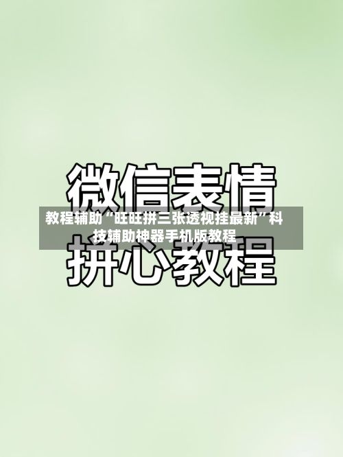 教程辅助“旺旺拼三张透视挂最新	”科技辅助神器手机版教程-第3张图片