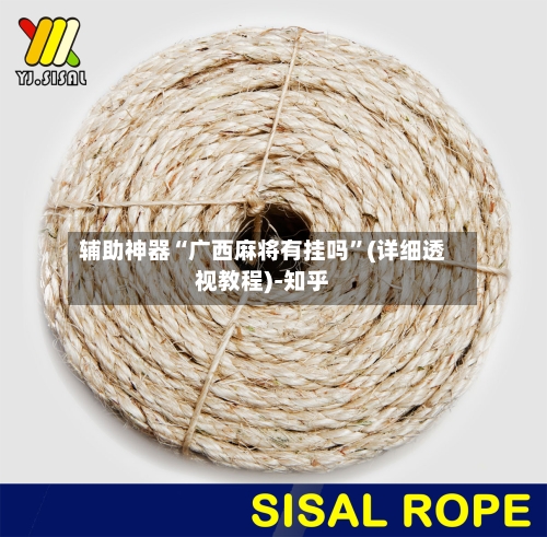 辅助神器“广西麻将有挂吗”(详细透视教程)-知乎-第2张图片