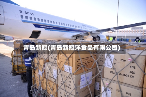 青岛新冠(青岛新冠洋食品有限公司)
